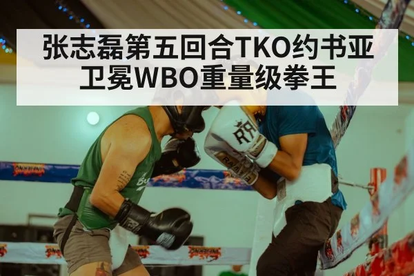 Zhang Zhilei boxing