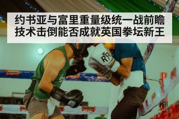 约书亚与富里重量级统一战前瞻 技术击倒能否成就英国拳坛新王